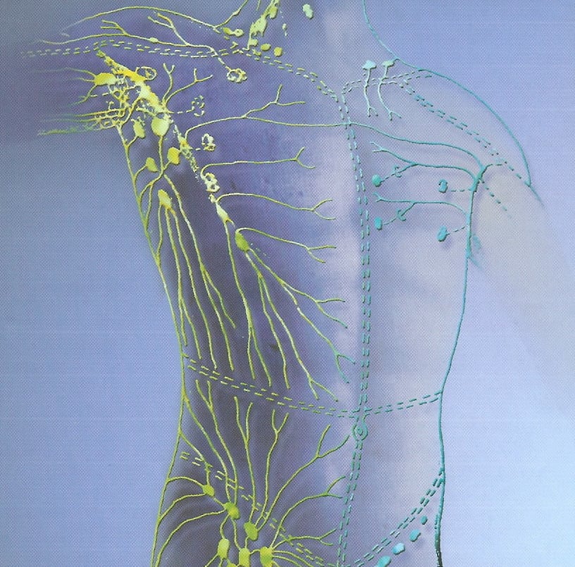 Lymph Drainage Therapy Circulation Redlands Holistic Healing